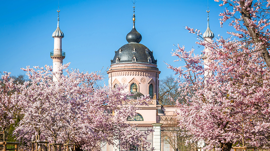 Almanya’da farklı bir cami: Var ama ezan yok, ibadet yok