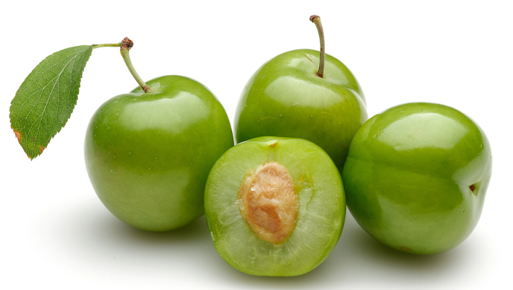 Dalından tek tek toplanıyor, Avrupa sofralarına gidiyor