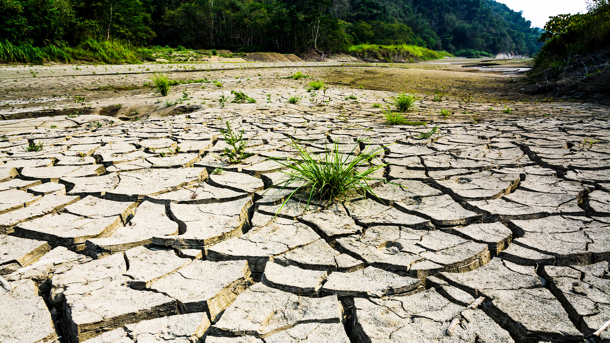 Türkiye’yi bekleyen iklim tehdidi: 2050 sonrası kuraklık artacak