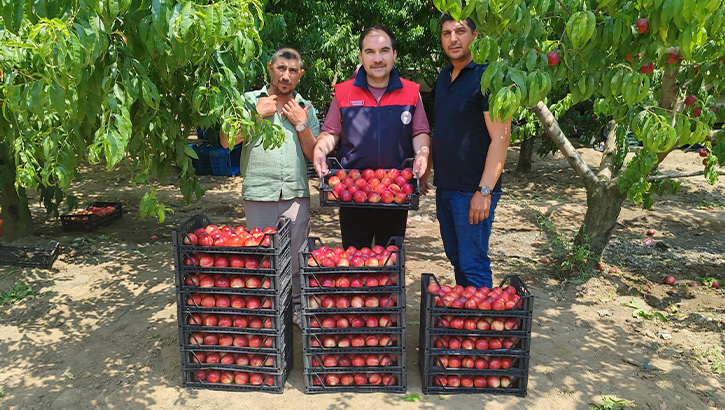 Hayrettin İnan Dudaklı'da Tarım Gündemini Değerlendirdi